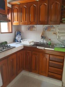 弗兰德斯Royal Resort Flandes的配有木制橱柜和水槽的厨房