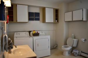 a small bathroom with a washing machine and a sink at Cozy 2nd story Flat near downtown in Adrian