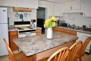 a kitchen with a counter with a vase of flowers on it at Cozy 2nd story Flat near downtown in Adrian