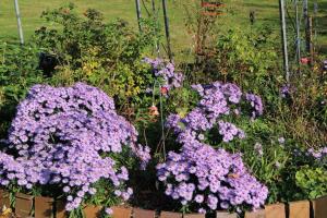 Fotografie z fotogalerie ubytování Ferienwohnung auf dem Pferdehof v destinaci Sumte + 10 fotografií