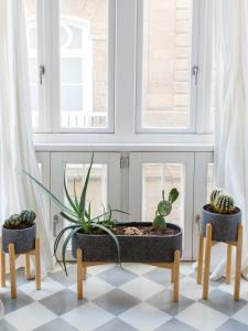 Zdjęcie z galerii obiektu The QUEEN's Designer Apartment by Cadiz4Rentals w Kadyksie