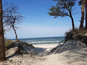 piaszczysta plaża z drzewami i oceanem w obiekcie Apartamenty Marzeń w Grzybowie