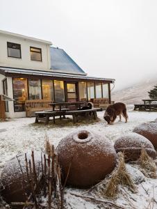 Vík Hostel im Winter