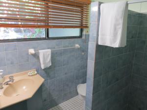 Gallery image of Daintree Rainforest Retreat Motel in Cape Tribulation