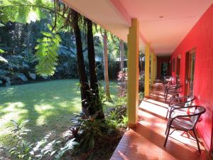 Gallery image of Daintree Rainforest Retreat Motel in Cape Tribulation