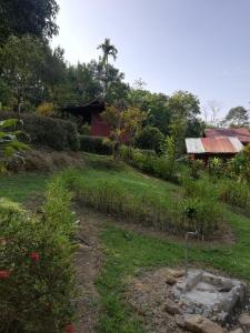 Zahrada ubytování Durian Chalet