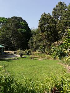 Zahrada ubytování Durian Chalet