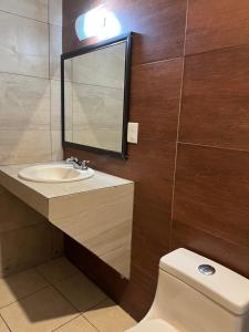 a bathroom with a sink and a toilet and a mirror at Hotel Posada Ruiseñor in San Juan de los Lagos