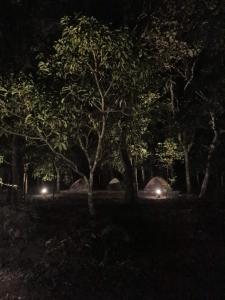 Foto dalla galleria di Captain's Camp a Sirsi