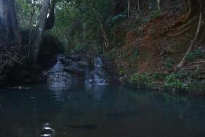 Paesaggio naturale nelle vicinanze del campeggio