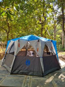Foto dalla galleria di Captain's Camp a Sirsi