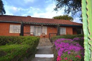 Jacaranda Lake Elementaita Lodge外面的花园