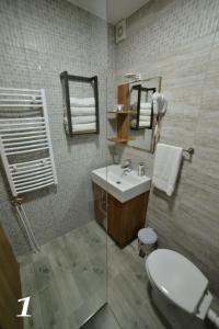 Ένα μπάνιο στο Studio apartmani Emili Bijeljina apartman br 1 +11 φωτογραφίες