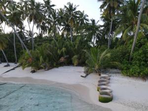 Zahrada ubytování Finolhu Beach Guest House