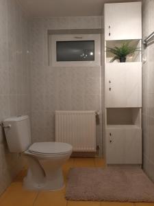 a bathroom with a toilet and a television on the wall at Forrás-hegyi Apartman in Felsőörs +2 photos