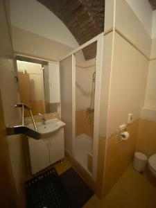 a small bathroom with a sink and a shower at Guest House Nokturno in Zagreb