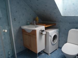 y baño con lavadora y lavamanos. en Huggehus, en Förslöv