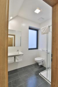 ein Bad mit einem WC, einem Waschbecken und einem Fenster in der Unterkunft Apartmány Na handě in Boží Dar