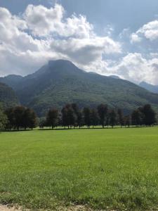 Uma vista da montanha tirada do apartamento 