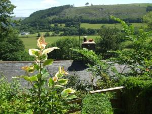 a view from a garden with a train in the distance at 200 year old Gardener's cottage, Mid Wales in Llanidloes