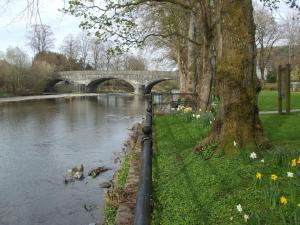 a bridge over a river with a tree and flowers at 200 year old Gardener's cottage, Mid Wales in Llanidloes