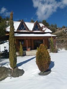 a house in the snow with two trees in front at Agros Timber Log House in Agros