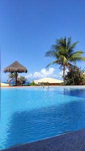 a large swimming pool with palm trees in the background at Condomínio Encantador Piscina e Praia E12 in Zumbi