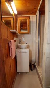 a small bathroom with a sink and a small refrigerator at Petit chalet Valfréjus pied des pistes in Modane