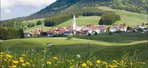 een groen veld met een klein stadje op een heuvel bij Accogliente Appartamento, Altopiano di Asiago in Treschè Conca