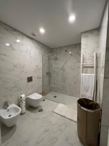 a bathroom with a shower and a sink and a toilet at Apartamento Prestige Tondela in Tondela