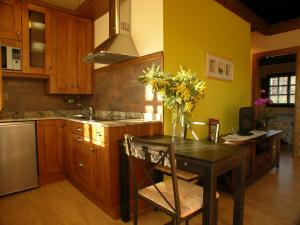 Kuchyň nebo kuchyňský kout v ubytování Hotelapartamentos Torres