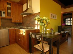 a kitchen with a table with a vase of flowers on it at Hotelapartamentos Torres in Selorio