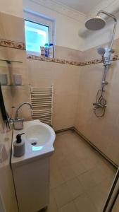 モンタナにあるGuest House Annaの洗面台とシャワー付きのバスルーム