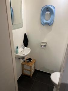 ブランケンベルヘにあるDuplex appartement Dujardinのバスルーム(洗面台付)、壁にトイレが備わります。