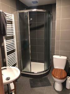 a bathroom with a shower and a toilet and a sink at Penzion Nový Svět in Krásno +28 photos
