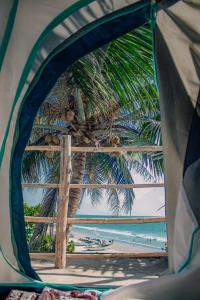a view of a palm tree from inside a tent at This is it Beach Front Restobar, Hostel & Guesthouse in Arambol