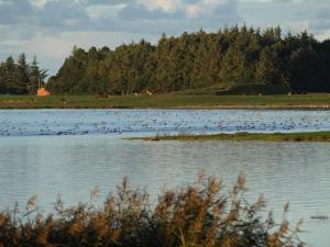 Φωτογραφία από το άλμπουμ του Skibstedborg - naturhytte i Thy σε Sønder Ydby