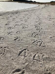 Φωτογραφία από το άλμπουμ του Skibstedborg - naturhytte i Thy σε Sønder Ydby +27 φωτογραφίες