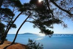 una vista di una spiaggia con alberi e l'oceano di Appartement cosy à 50 m de la plage et du port a Mèze 1 altra foto