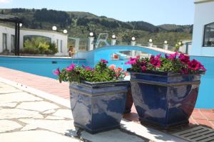 Bazén v ubytování HOTEL SPA MONTANA nebo v jeho okolí