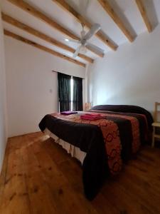 a bedroom with a bed in a room with a window at Las zarinas 1 in Trapiche