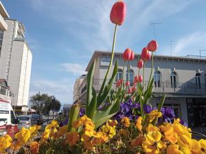 un ramo de flores frente a un edificio en Hotel Ginevra, en Lido di Jesolo
