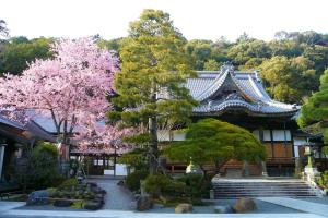 Gallery image of Sora Togetsusoukinryu in Izu