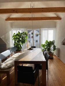 a dining room with a wooden table and potted plants at Ferienwohnung Nussbaum-Nest in Hausen