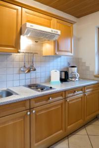 Küche/Küchenzeile in der Unterkunft Apartment Gredler - MHO250 by Interhome