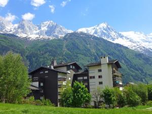 a building with snow capped mountains in the background at Studio Clos du Savoy-22 by Interhome in Chamonix