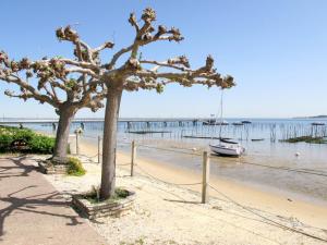 a tree on the beach with a boat in the water at Studio Las Delicias - CFE104 by Interhome in Cap-Ferret