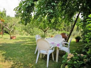 チェルタルドにあるHoliday Home Podere Conte Francesco-La Palma by Interhomeの木の下に座る椅子とテーブル