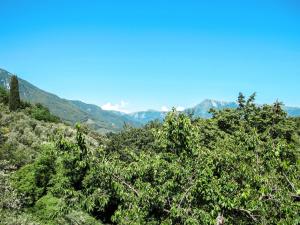 a group of trees on a hill with mountains in the background at Apartment Cristina-1 by Interhome in Santa Lucia