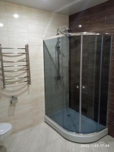 bagno con doccia in vetro e servizi igienici. di Vanalinna Apartment a Narva